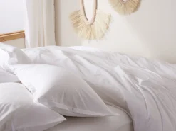 Parachute Pillowcases + Shams*Brushed Cotton Sham Set