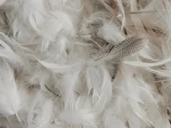 Parachute Pillow Inserts*Feather Euro Pillow