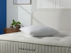 Parachute Pillow Inserts*Feather Euro Pillow