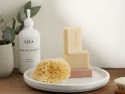 Parachute Bath Accessories*Purifying Hand Soap